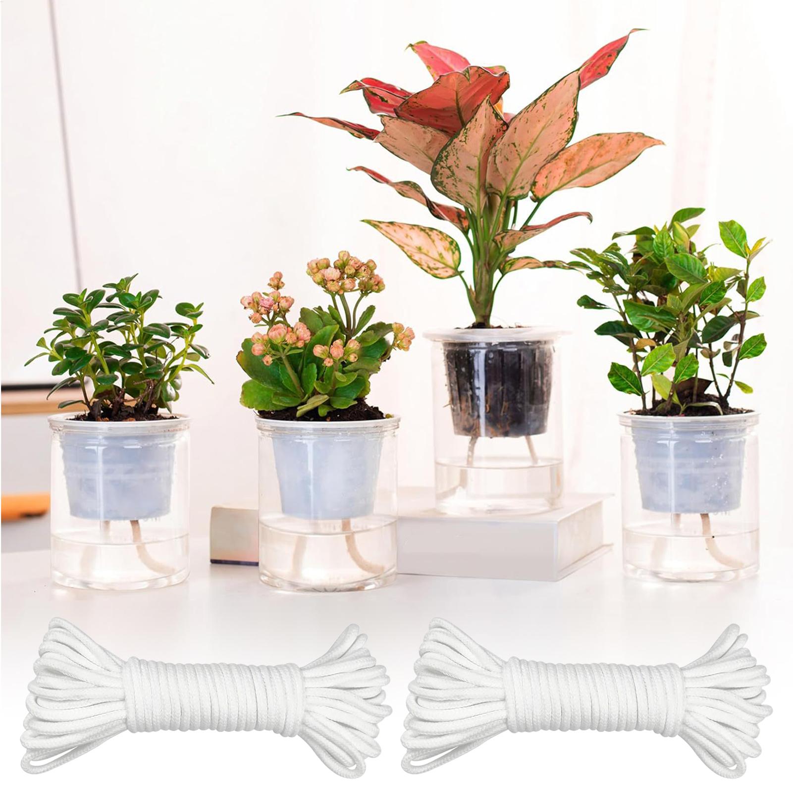 Plant Wicks For Self Watering  – Self-Watering Planter Bewertung und Preis