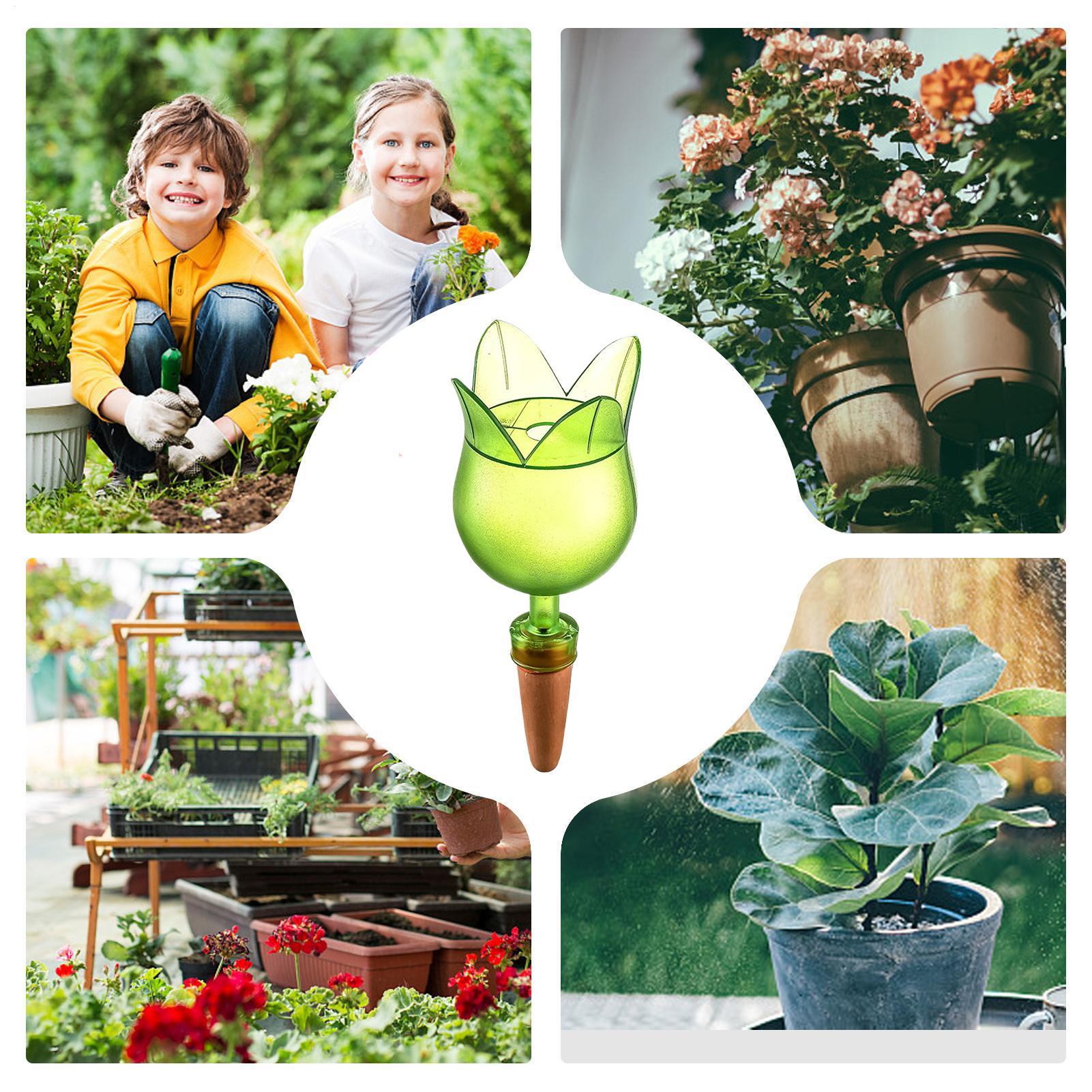Plant Self Watering Devices Pl – Self-Watering Planter Bewertung und Preis