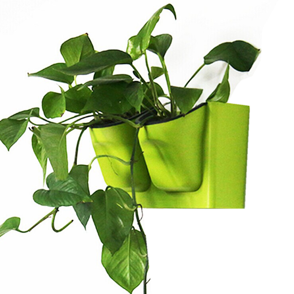 Living Wall Planter Standard P – Self-Watering Planter Bewertung und Preis