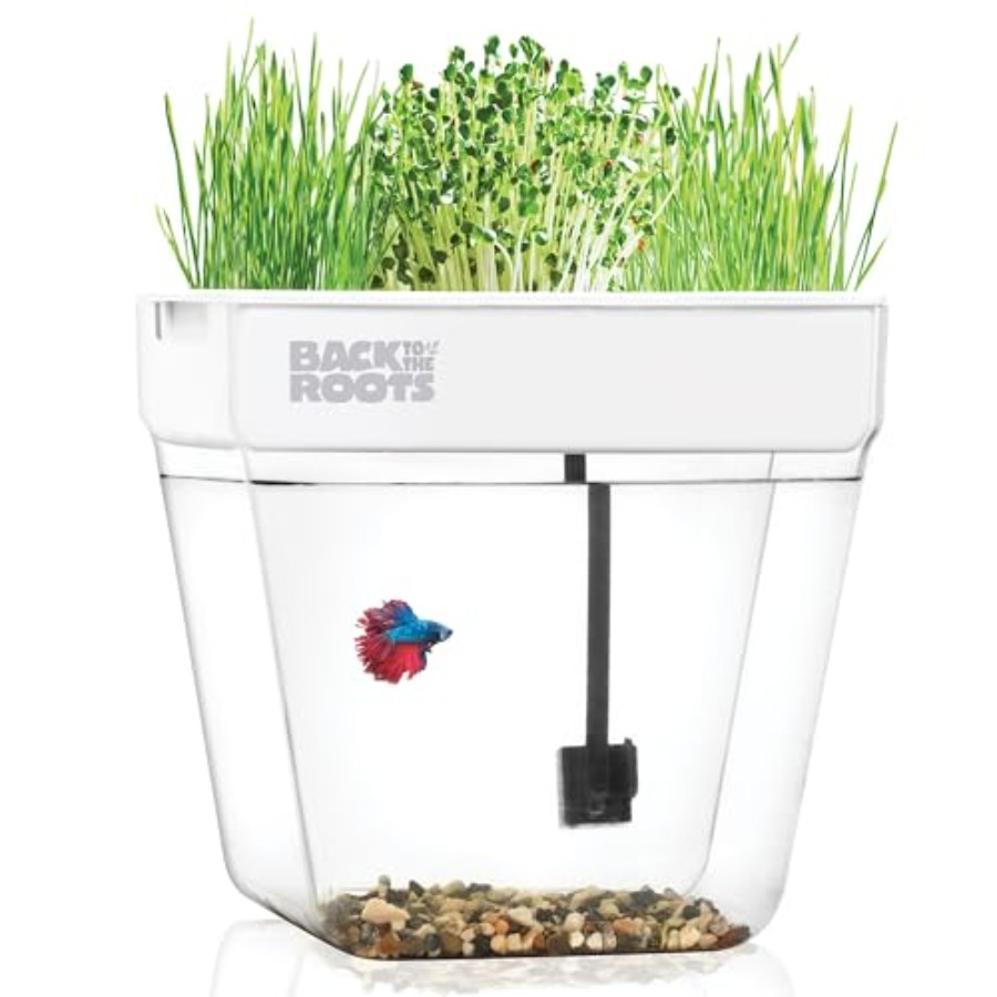 Indoor aquaponic garden: 3-gal – Self-Watering Planter Bewertung und Preis