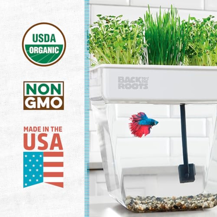Indoor aquaponic garden: 3-gal – Self-Watering Planter Bewertung und Preis