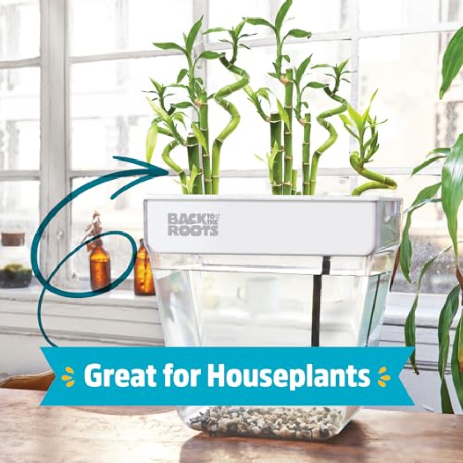 Indoor aquaponic garden: 3-gal – Self-Watering Planter Bewertung und Preis