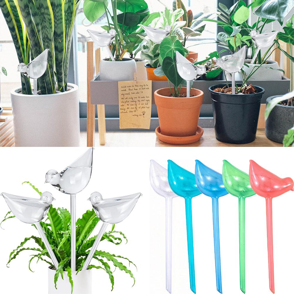 Automatic Plant Watering Bulbs – Gardening Tools And Equipment Bewertung und Preis