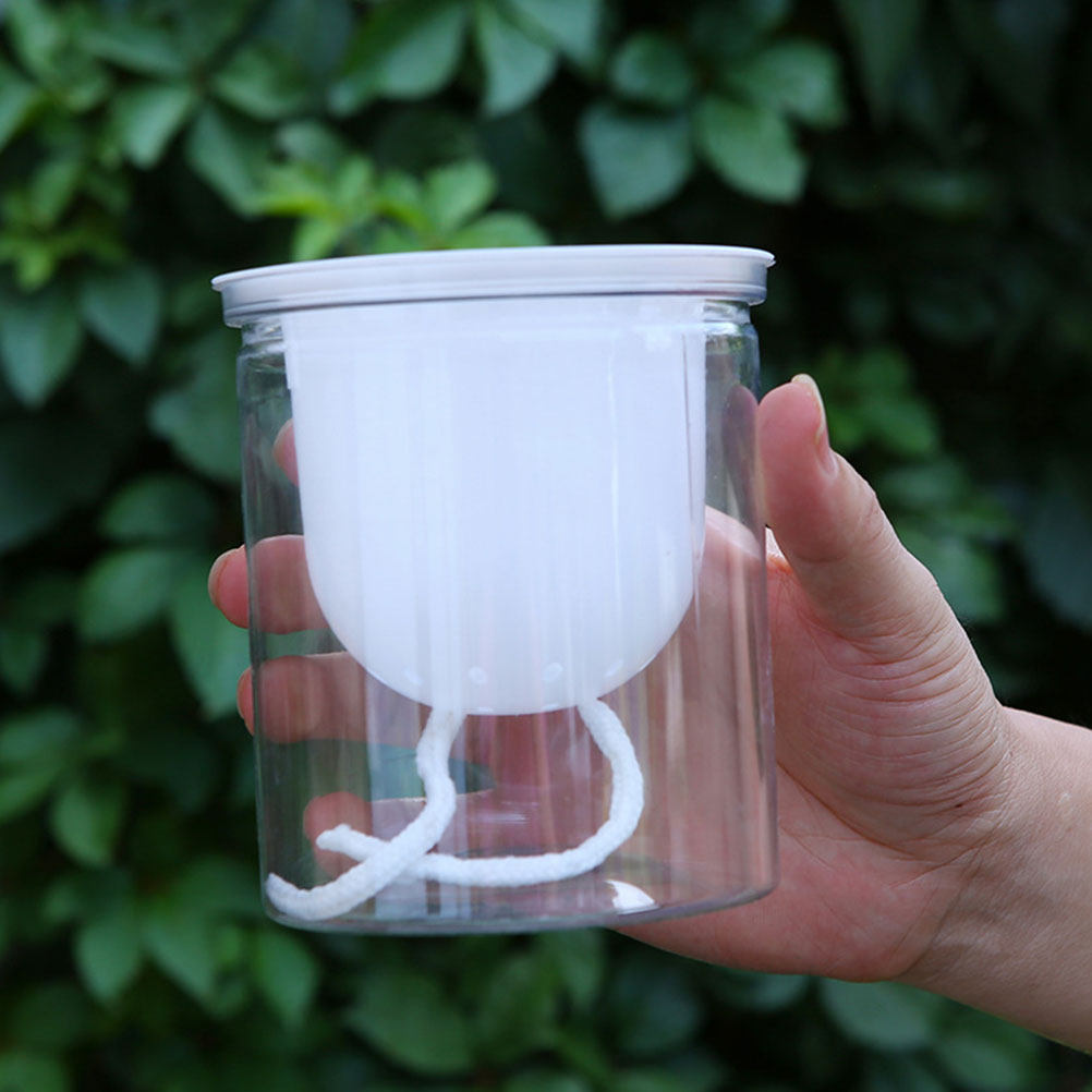 100Pcs Water Absorption Cotton – Self-Watering Planter Bewertung und Preis