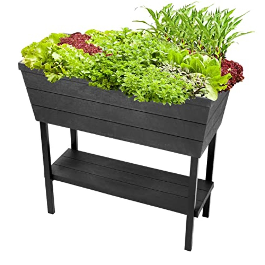 Urban Bloomer 12.7 Gallon Rais – Self-Watering Planter Bewertung und Preis