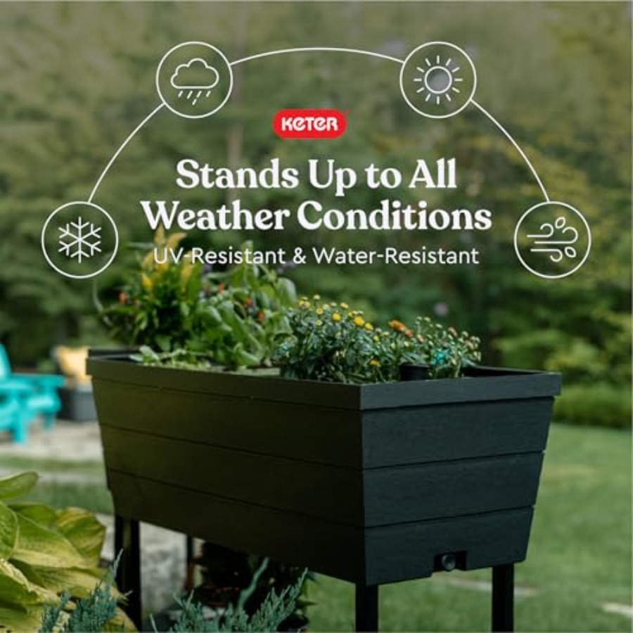 Urban Bloomer 12.7 Gallon Rais – Self-Watering Planter Bewertung und Preis