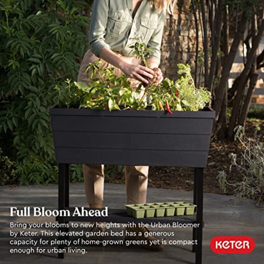 Urban Bloomer 12.7 Gallon Rais – Self-Watering Planter Bewertung und Preis