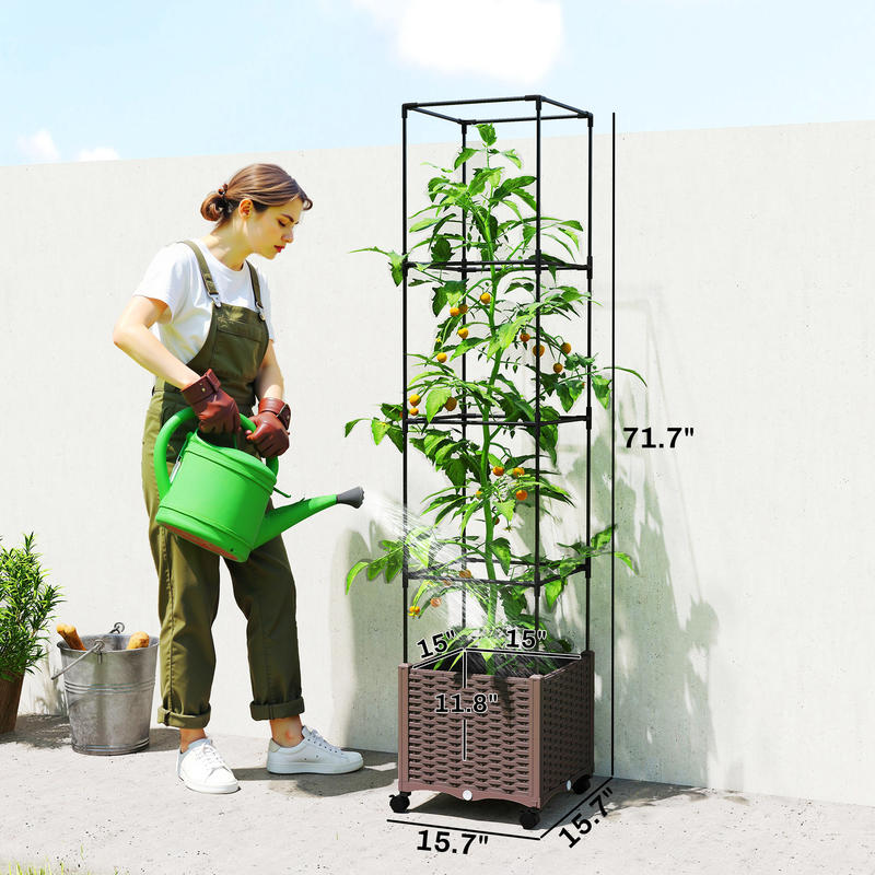 Raised Garden Bed with Trellis – Self-Watering Planter Bewertung und Preis