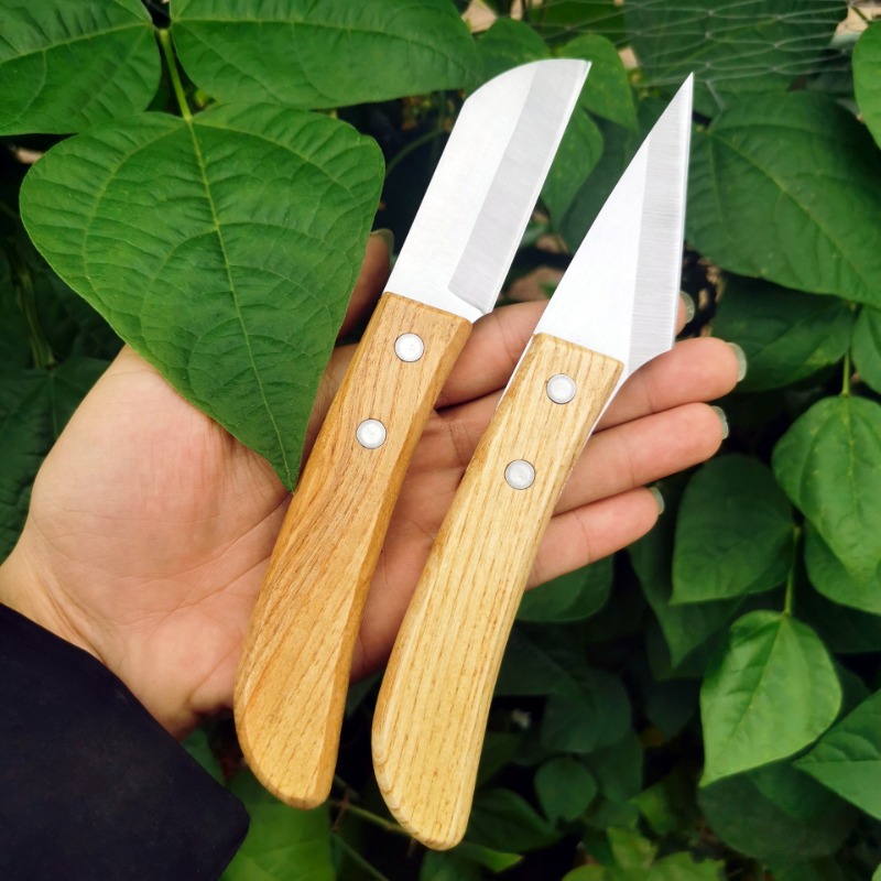 Stainless Steel Sharp Right-ha – Gardening Tools Trowel Bewertung und Preis