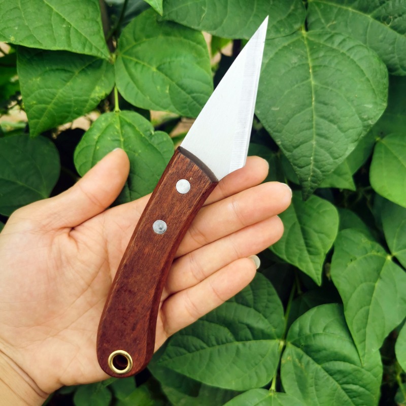 Stainless Steel Sharp Right-ha – Gardening Tools Trowel Bewertung und Preis