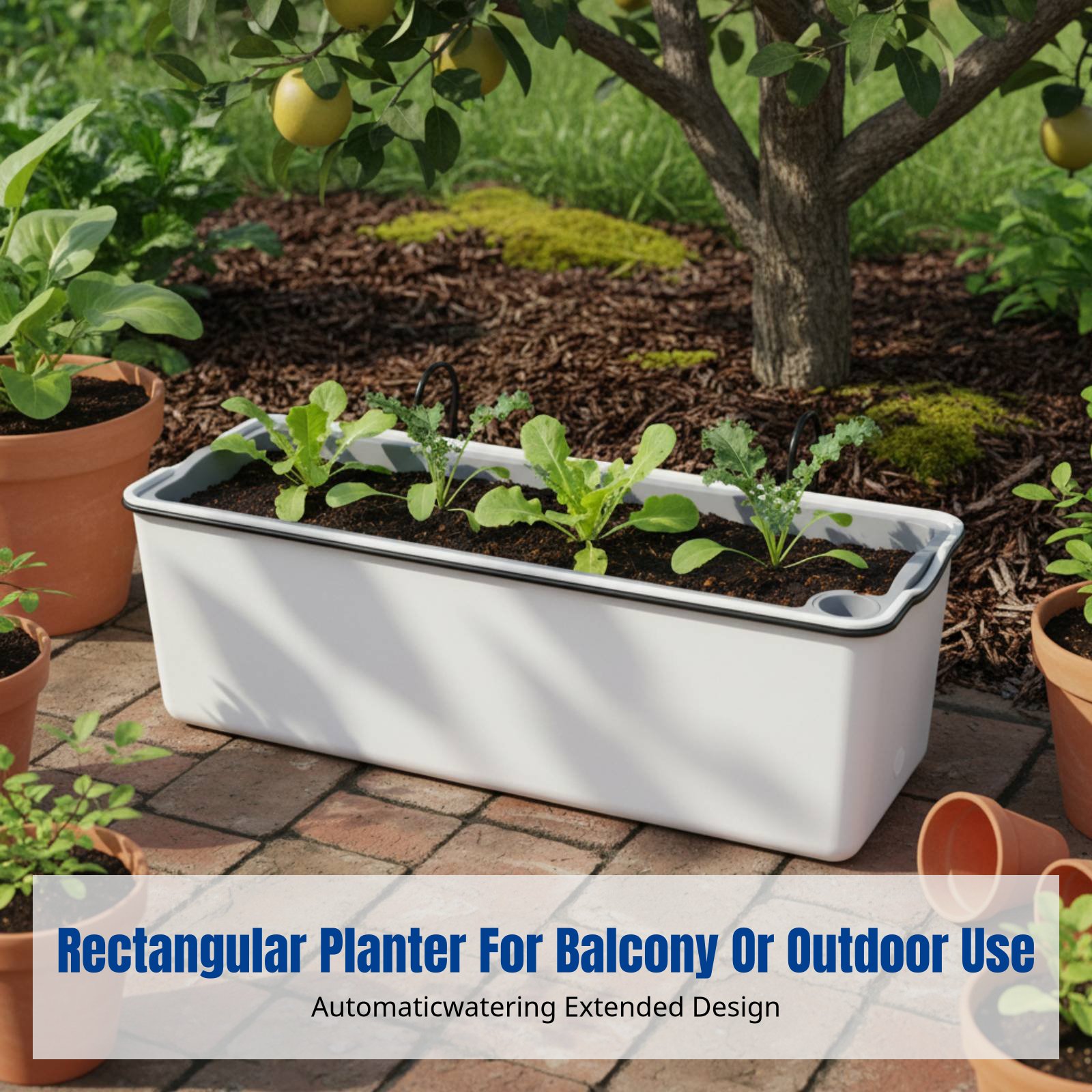 Balcony Hanging Flower Pot Rec – Self-Watering Planter Bewertung und Preis