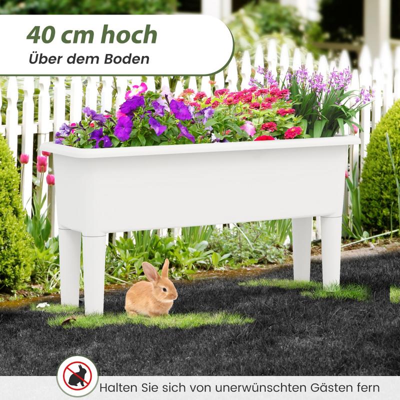 2 PCS Raised Garden Beds Self- – Self-Watering Planter Bewertung und Preis