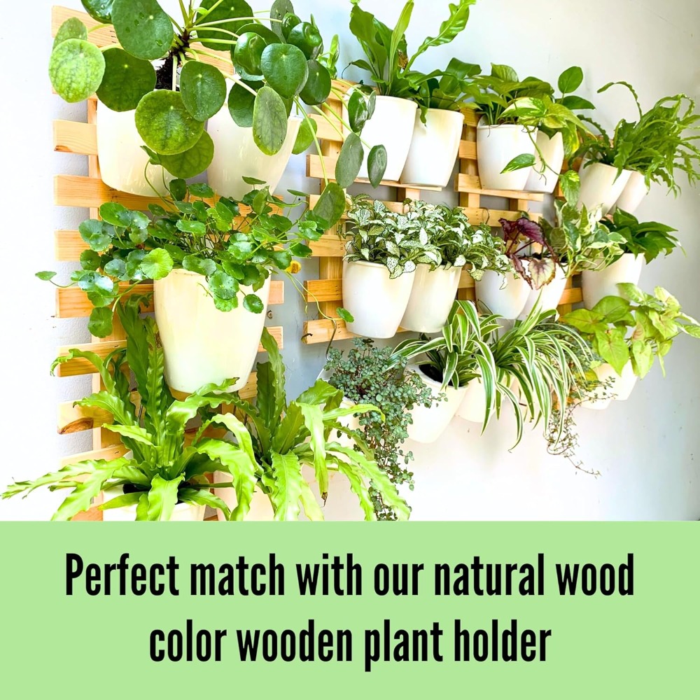 10-Pack Self-Watering Wall Pla – Self-Watering Planter Bewertung und Preis